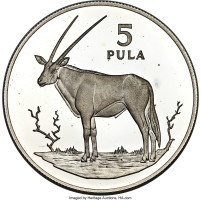 5 pula - Botswana