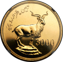 3000 rupees - Pakistan