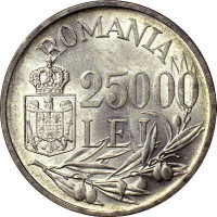 25000 lei - Roumanie