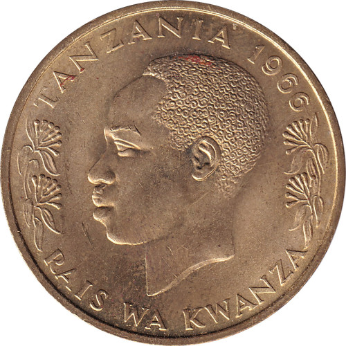 20 senti - Tanzanie