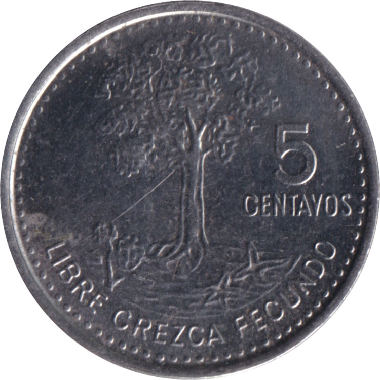5 centavos - Emblème - Arbre Kapok
