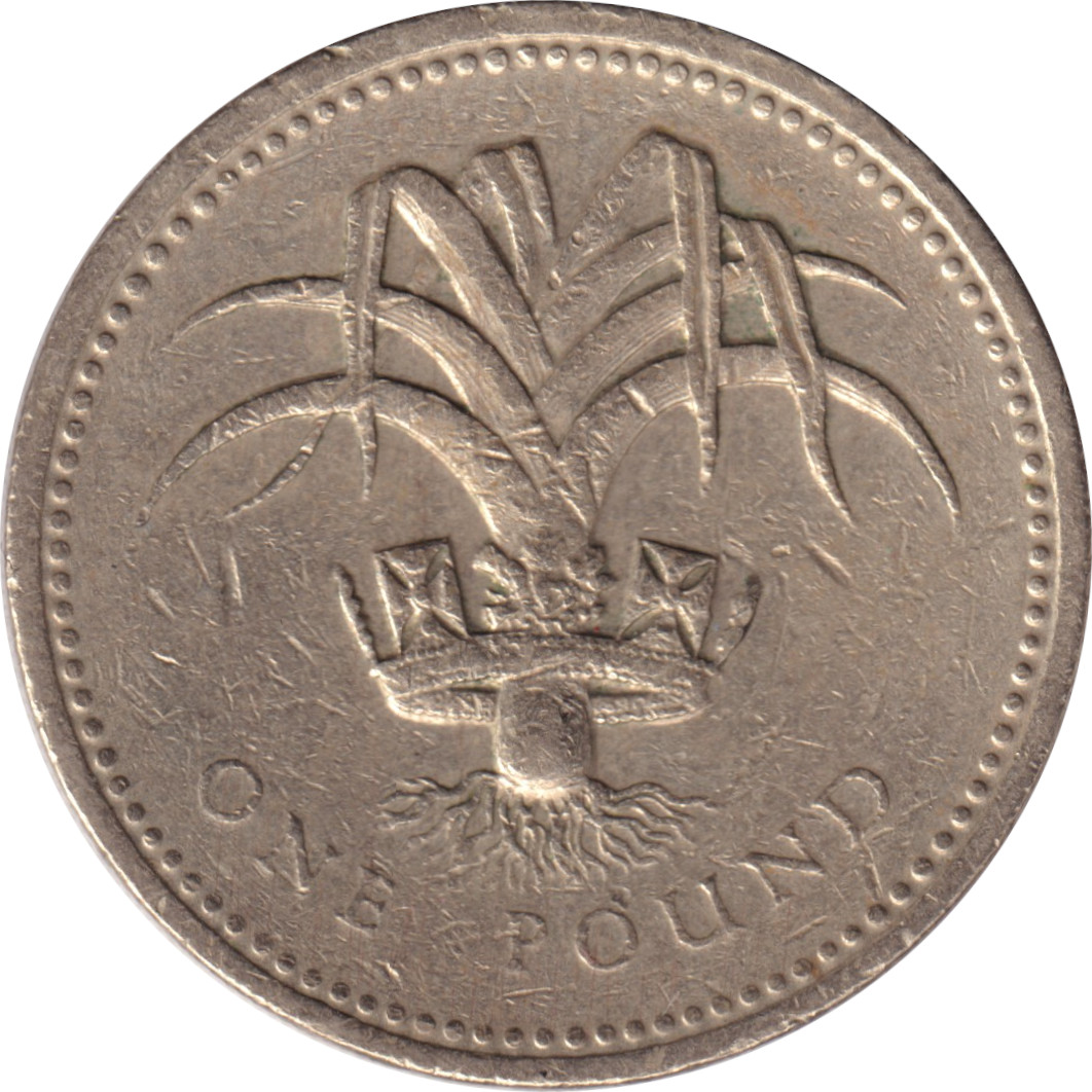 1 pound - Elizabeth II - Tête mature - Armoiries de Galles