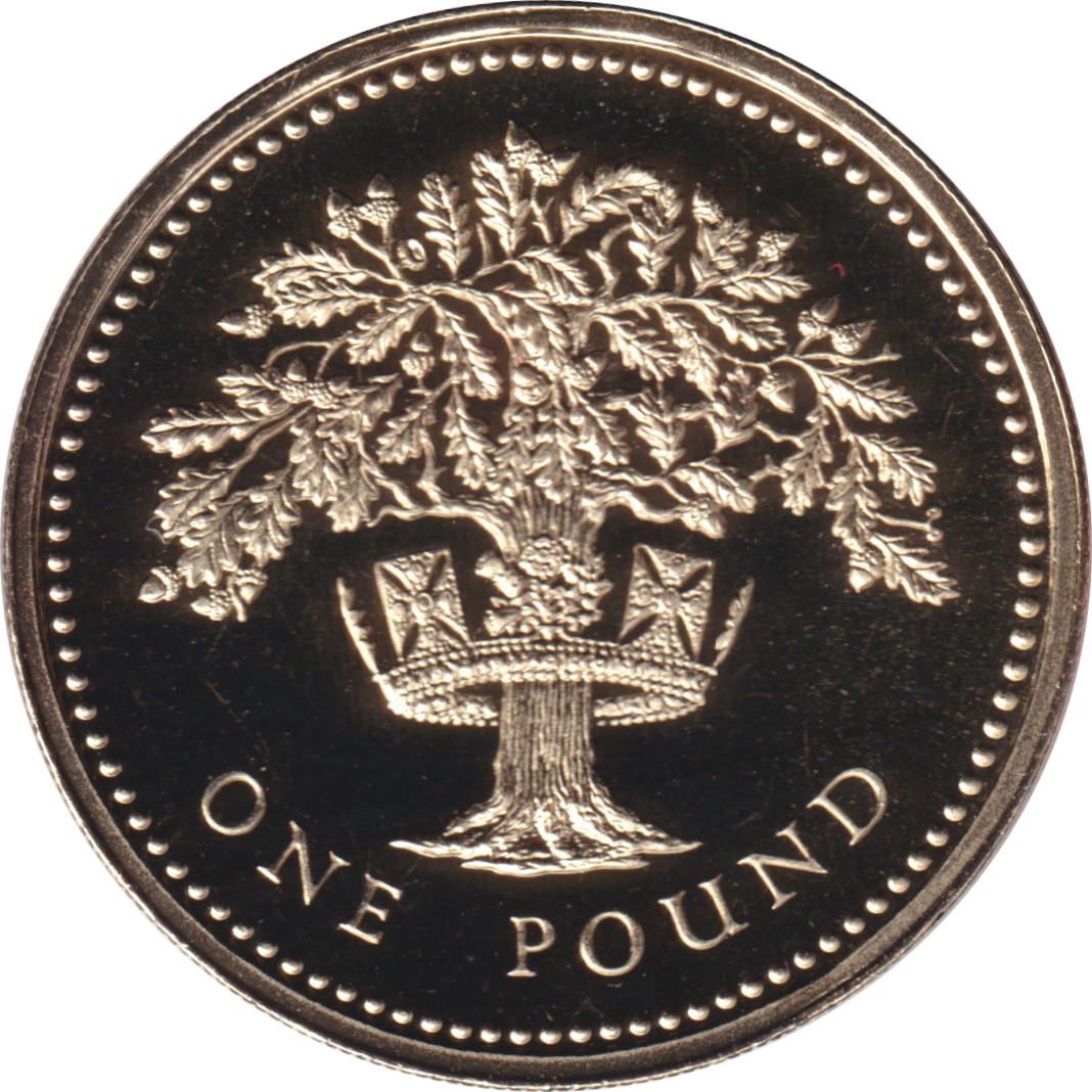 1 pound - Elizabeth II - Buste mature - Angleterre