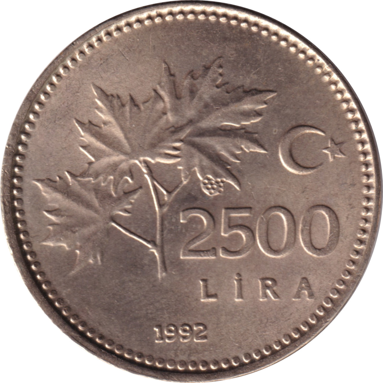 2500 lira - Moustafa Kemal