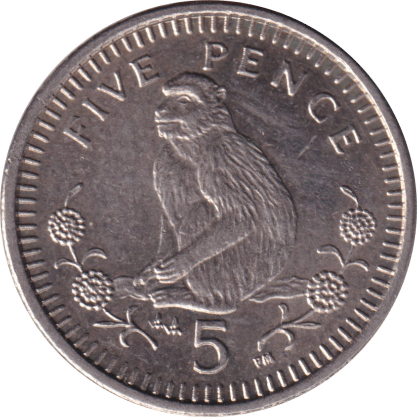 5 pence - Elizabeth II - Old head