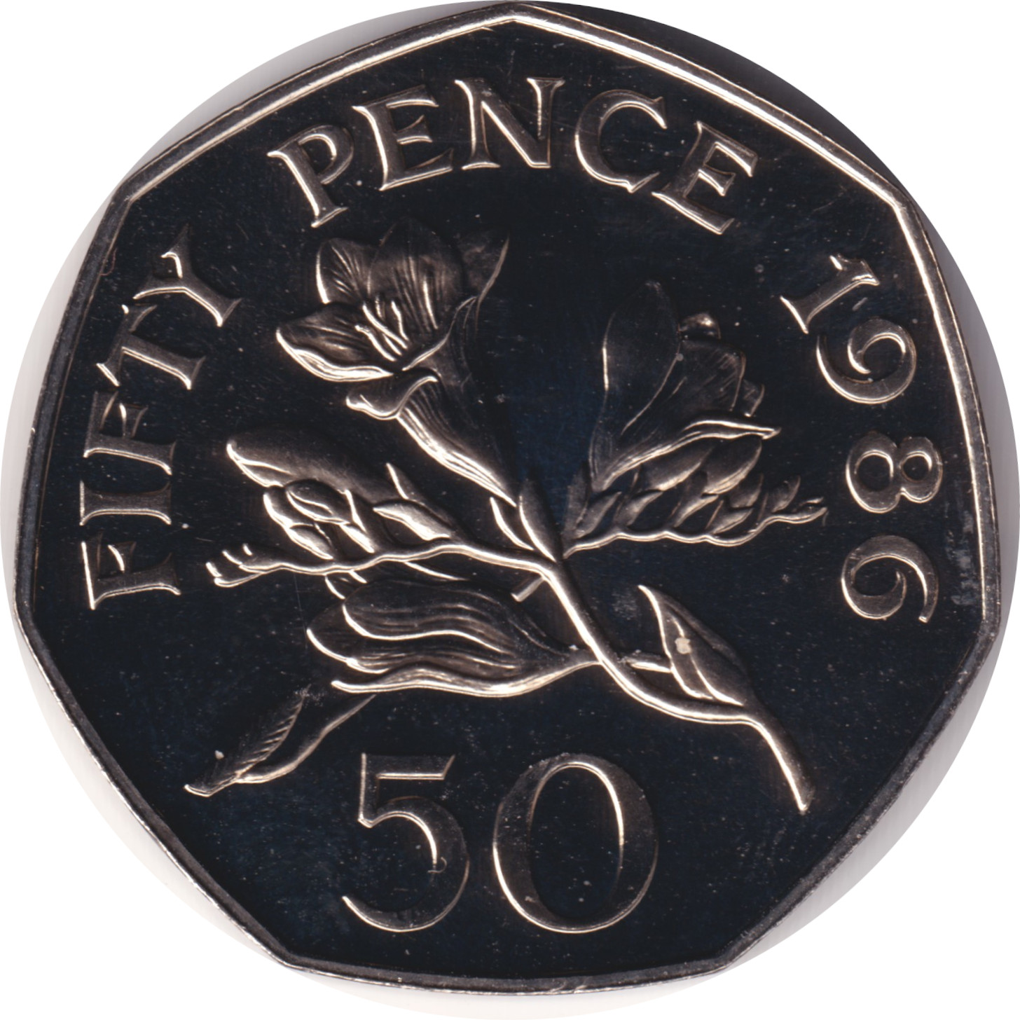 50 pence - Elizabeth II - Tête mature - Grand module