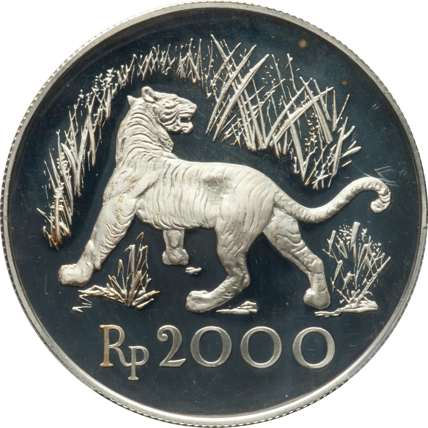 2000 rupiah - Tigre javanais - Argent 500‰