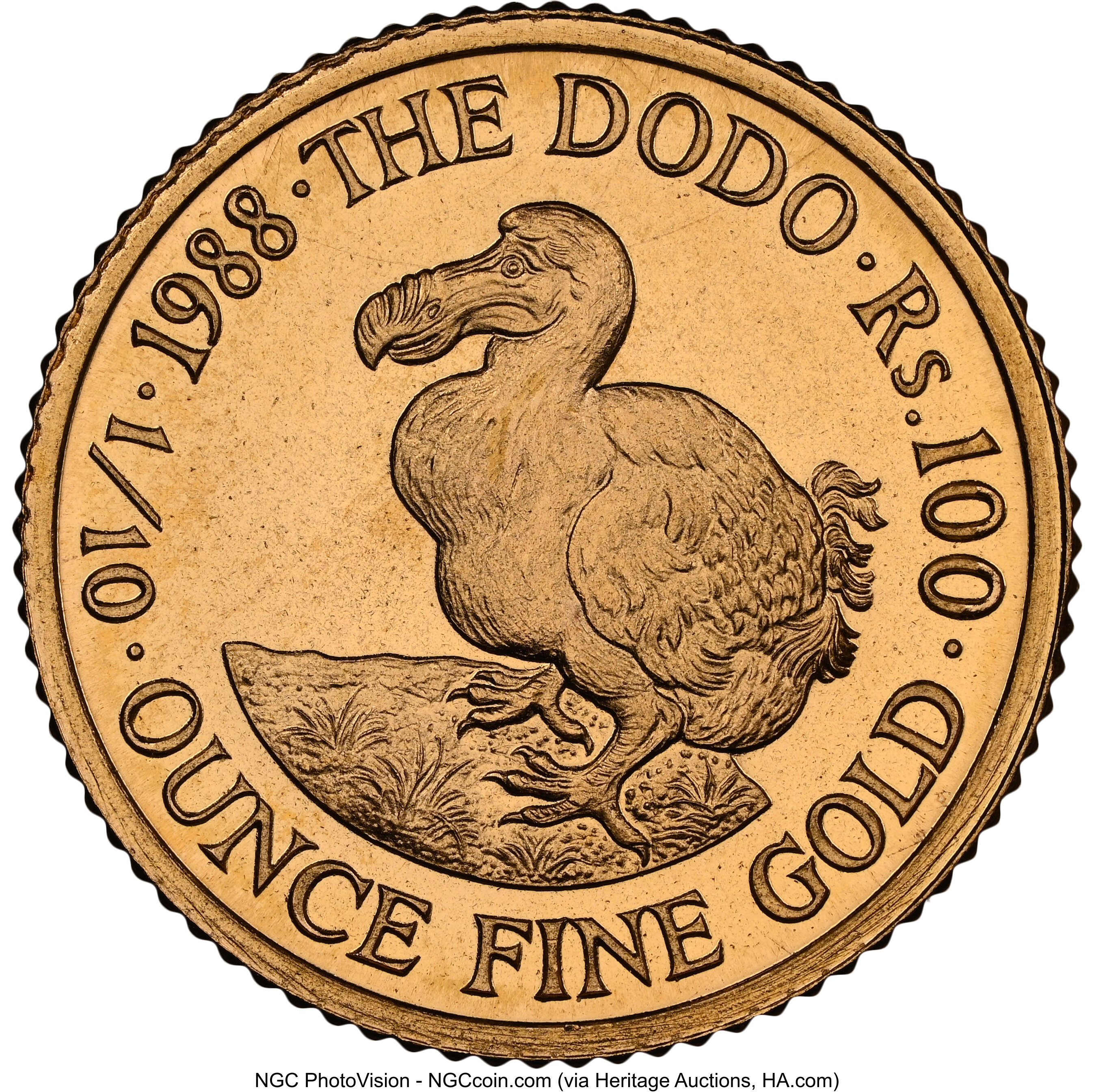 100 rupees - Dodo