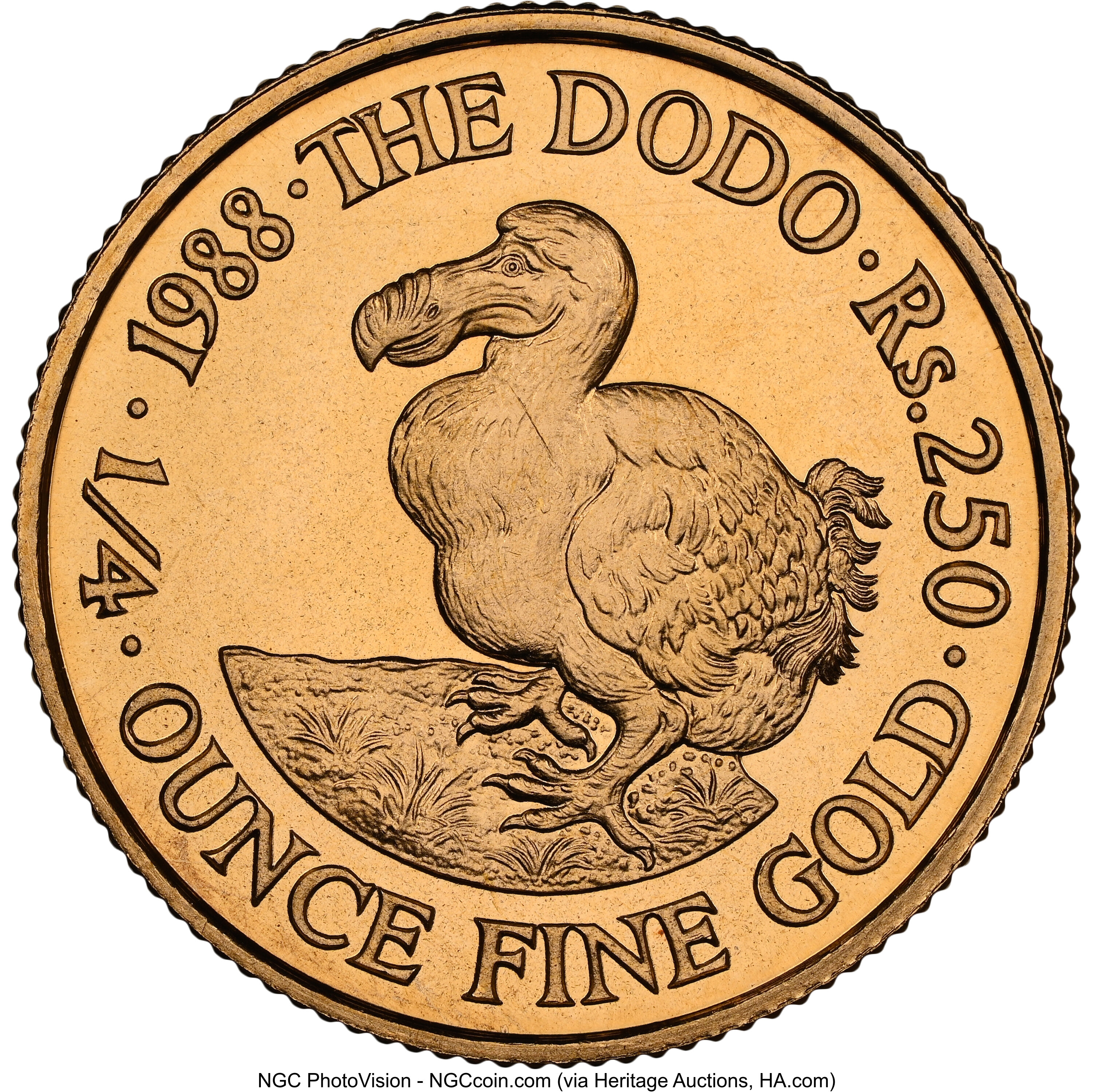 250 rupees - Dodo