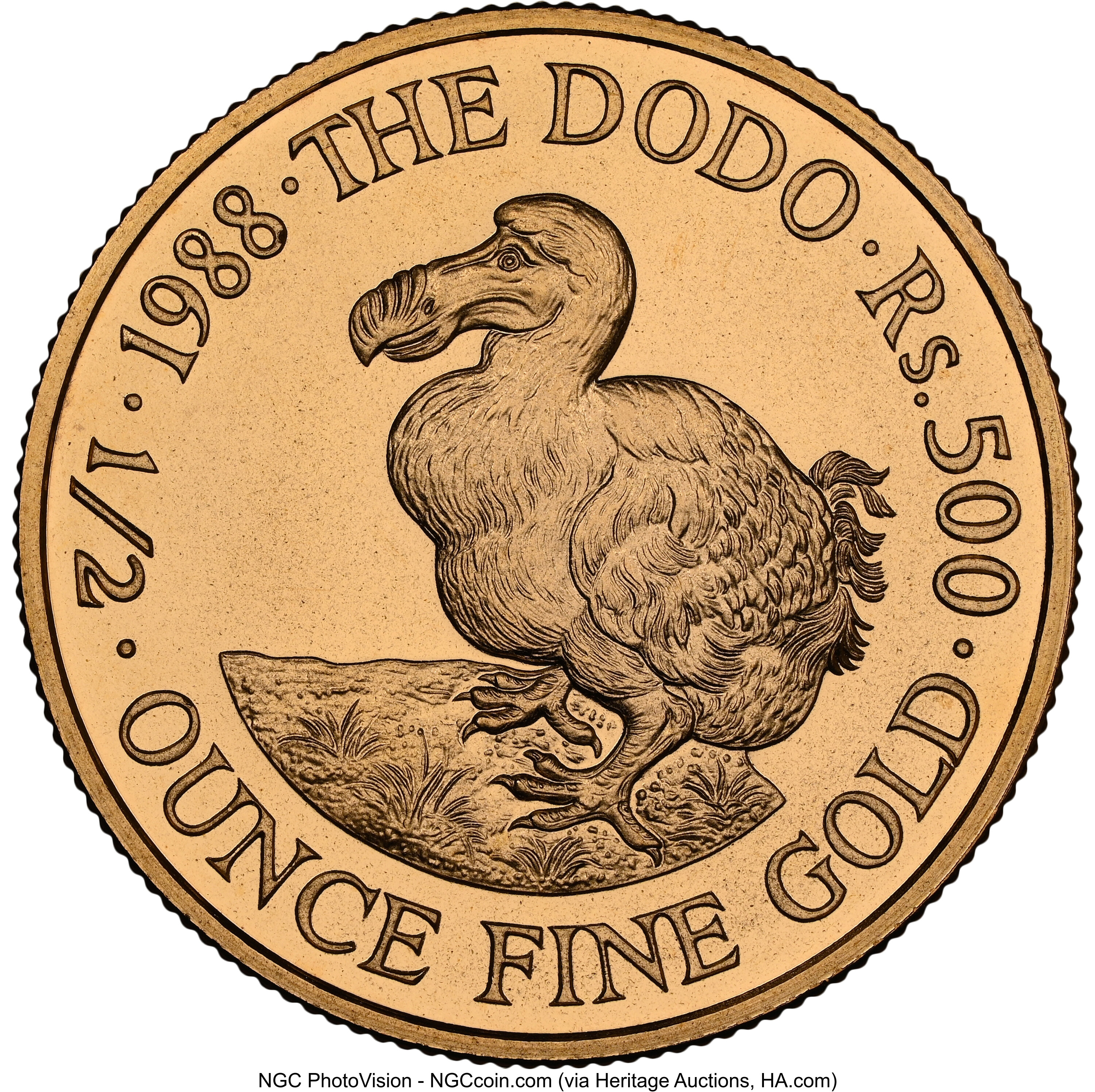 500 rupees - Dodo