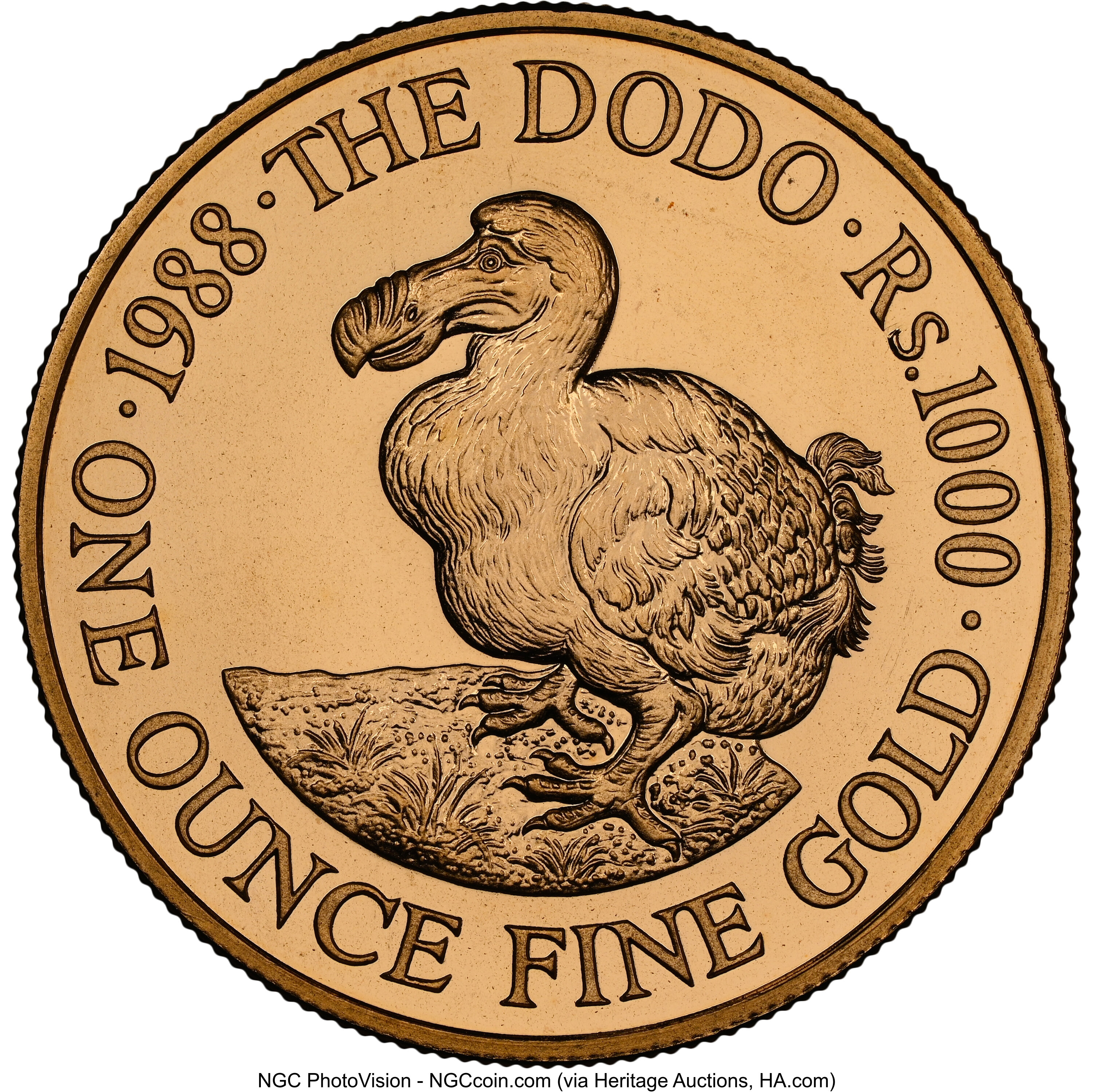 1000 rupees - Dodo
