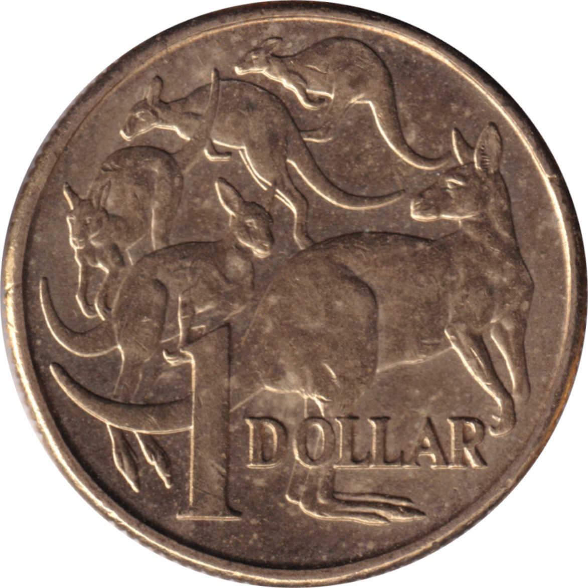 1 dollar - Elizabeth II - Tête agée