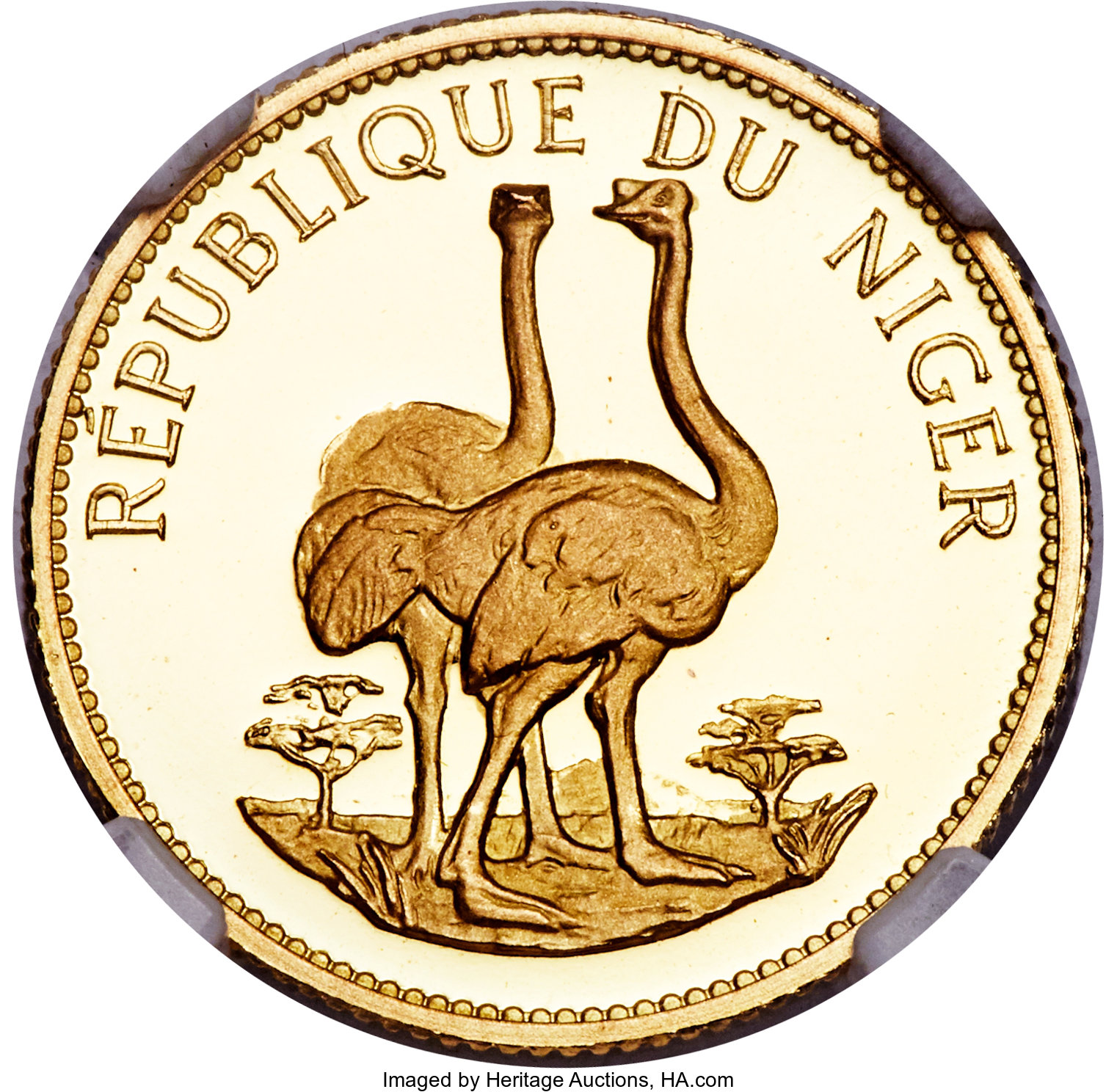 10 francs - Autruches