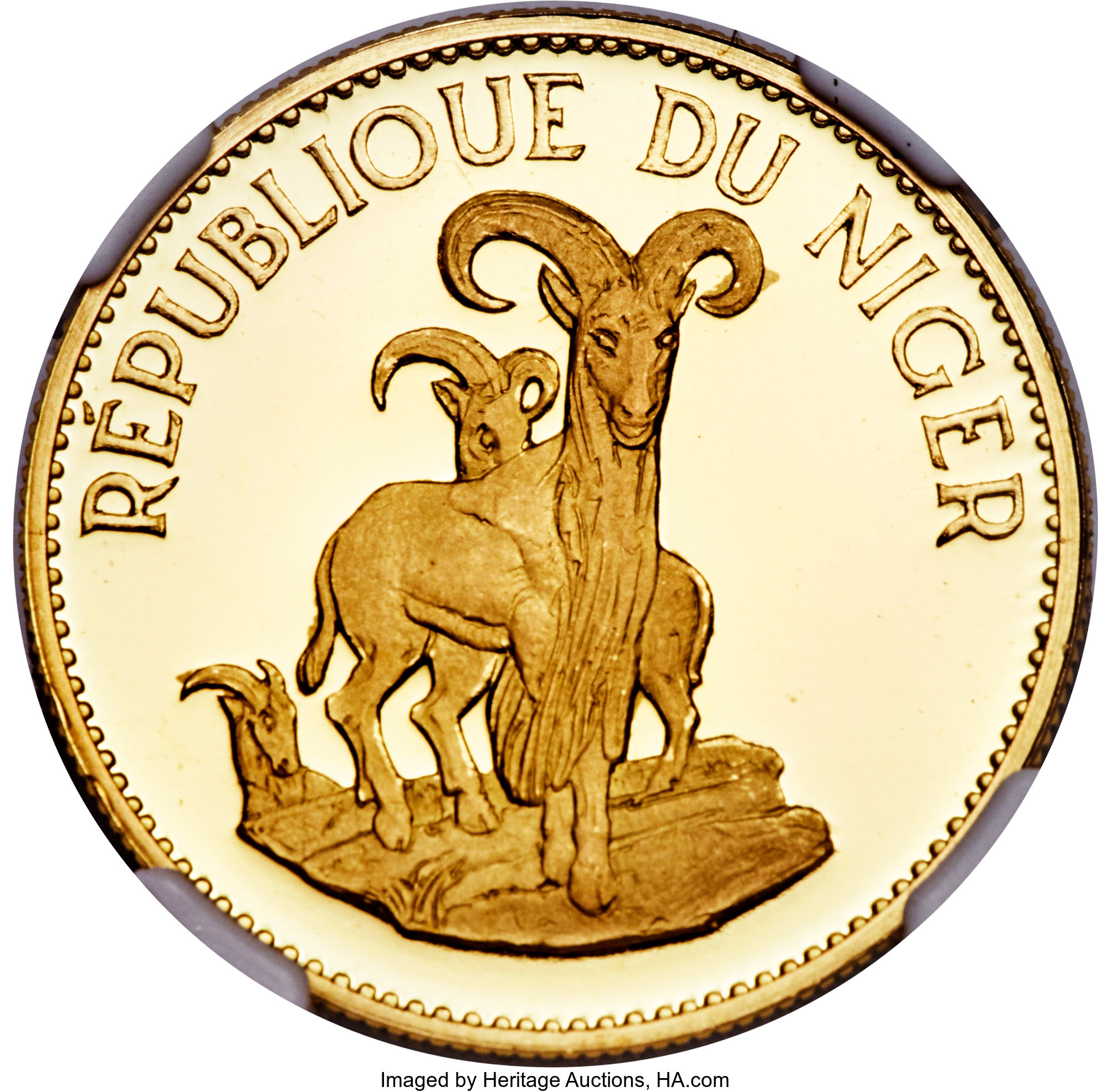 25 francs - Mouflons