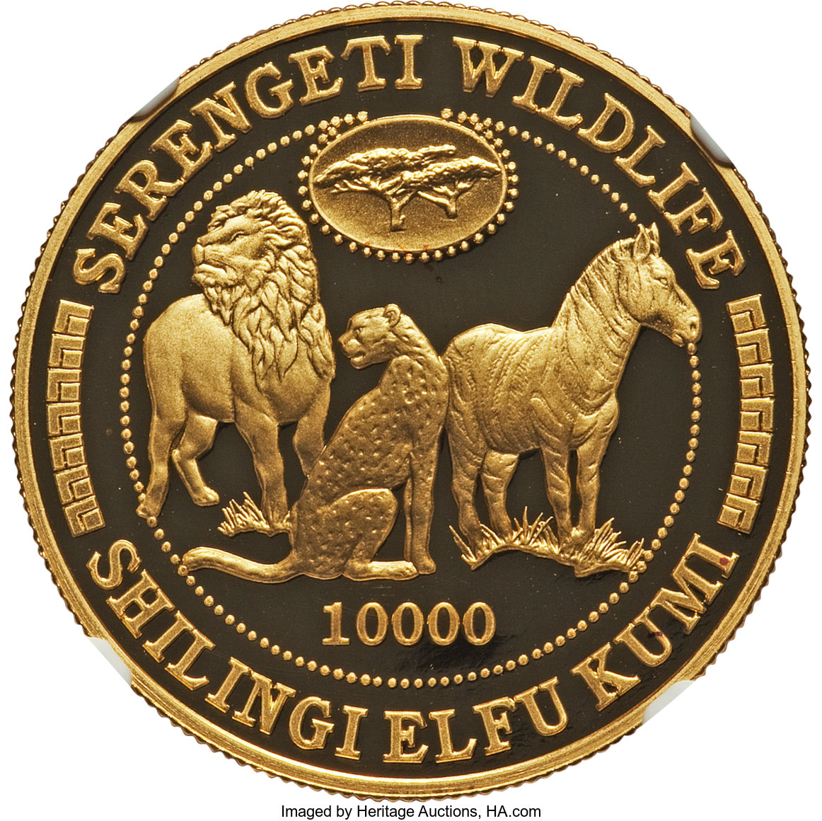 10000 shilingi - Nature sauvage